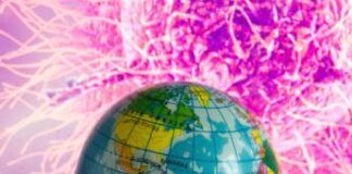 Covid, Oms: “Virus circola e si evolve, XEC cresce ma altre varianti si affacciano”