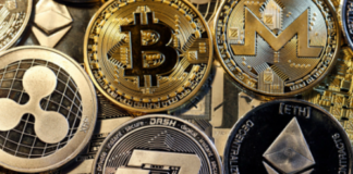 New Financial Technology fa crac: la società di Criptovalute nata in Veneto mette nei guai i clienti. Primo caso del genere in Italia trader NFT Criptovalute e cloud New Financial Technology