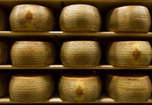 Il Grana è solo Padano, Consorzio di tutela: Tribunale di Venezia accoglie ricorso contro utilizzo “termine grana” da parte della Brazzale e la condanna Grana Padano Dop