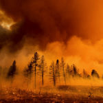 Incendi boschivi, Regione Veneto dichiara stato di grave pericolosità nelle province di Vicenza, Verona, Belluno e Treviso Incendi Veneto boschivi