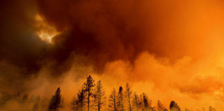 Incendi boschivi, Regione Veneto dichiara stato di grave pericolosità nelle province di Vicenza, Verona, Belluno e Treviso Incendi Veneto boschivi