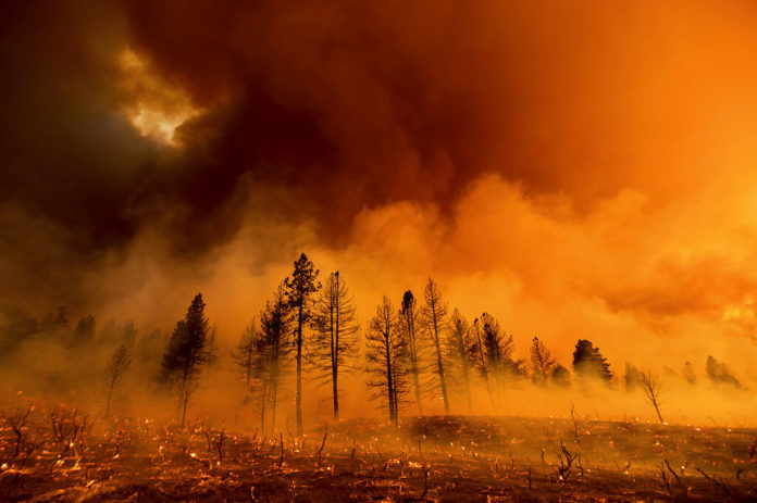 Incendi Veneto boschivi