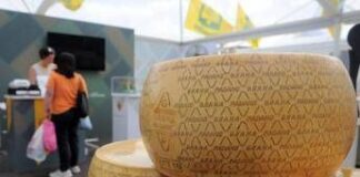 La ‘Dop economy’ cresce valore in 14 regioni, Nord est motore pulsante