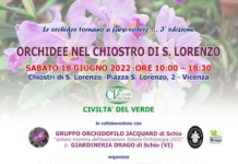 Vicenza, Civiltà del Verde: pronta la 3°edizione della mostra di orchidee Orchidee nel Chiostro di San Lorenzo