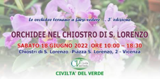 Vicenza, Civiltà del Verde: pronta la 3°edizione della mostra di orchidee Orchidee nel Chiostro di San Lorenzo