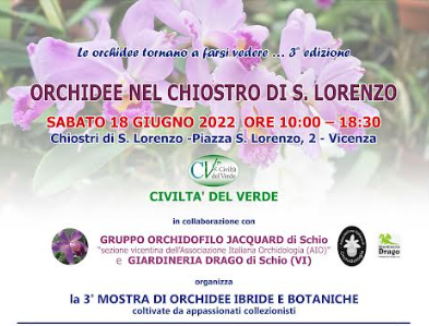 Orchidee nel Chiostro di San Lorenzo