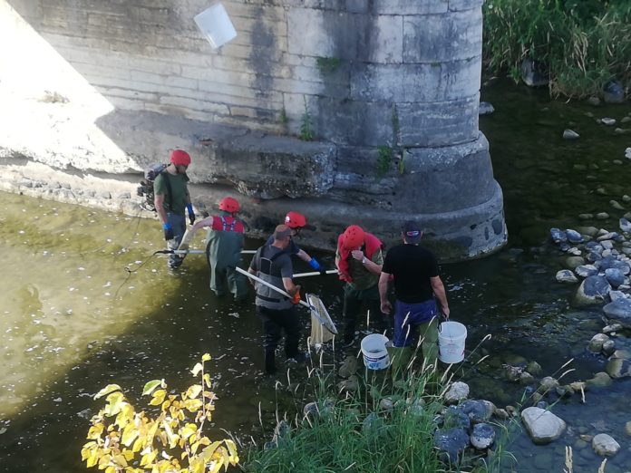 siccità pesce