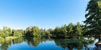 Run4Hope Massigen 2023 a sostegno di Airc: a Dueville la conferenza stampa con Viacqua Risorgive del Bacchiglione run4hope meteto veneto Green Week Festival