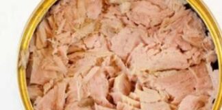 Tonno in scatola e mercurio, Ancit: “Nessun rischio per la salute in Italia”