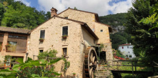 Giugno in Vigna, escursioni e degustazioni tra i Colli Berici giugno vigna