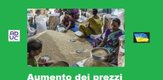 Aumento dei prezzi alimentari e agricoli minaccia la sicurezza alimentare. FAO