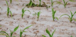 Decreto Siccità: oltre misure-tampone, l’urgenza è anche nella programmazione