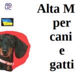 Alta Moda per cani e gatti