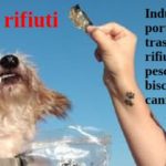 Zero rifiuti. Un’industria portoghese trasforma i rifiuti di pesce in biscotti per cani