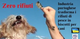 Zero rifiuti. Un’industria portoghese trasforma i rifiuti di pesce in biscotti per cani