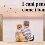 I cani pensano come i bambini