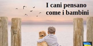 I cani pensano come i bambini