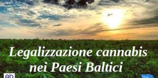 Legalizzazione cannabis nei Paesi Baltici