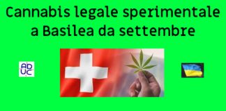 Cannabis legale sperimentale a Basilea da settembre. Fervono i preparativi