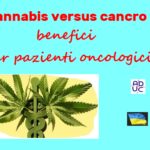 Cannabis versus cancro: benefici per pazienti oncologici