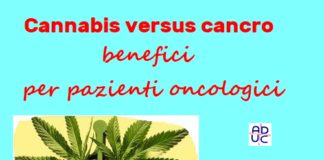 Cannabis versus cancro: benefici per pazienti oncologici