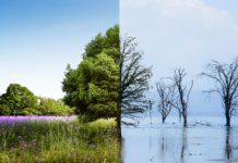 Cambiamenti climatici, Irma Lovato Serena da Posina: il genere umano saprà umilmente leggere il conto che la terra ci sta presentando? Cambiamenti climatici (climate change)