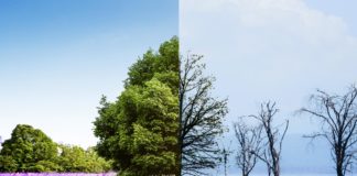 Zaia e il clima su La Repubblica, Zanoni (Pd): “Invece di predicare, il Presidente faccia mea culpa” Cambiamenti climatici (climate change)