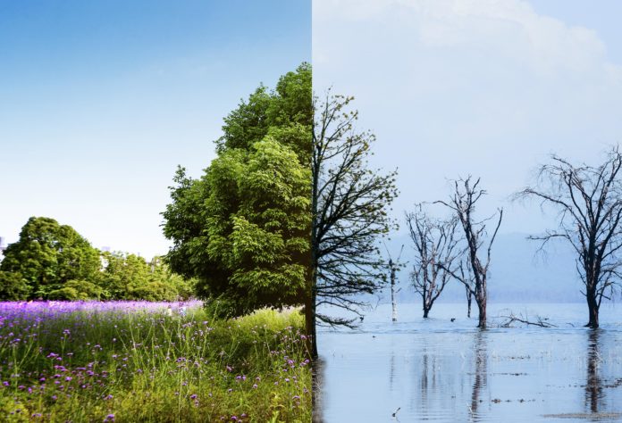 Cambiamenti climatici (climate change)