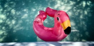 Codici: sul web è arrivata la truffa delle piscine, attenzione alle offerte