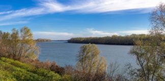 Emergenza Idrica Veneto: il quadro degli interventi in pianificazione e delle criticità in corso legambiente veneto siccità veneto interventi