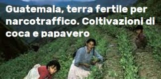Guatemala, terra fertile per narcotraffico. Coltivazioni di coca e papavero