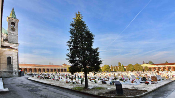 cimiteri vicenza