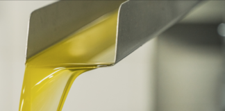 Oli alimentari esausti in Veneto, nel 2021 RenOils ha raccolto 31% in più rispetto al 2020 oli esausti veneto alimentari