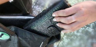 Valdagno, carabinieri denunciano borseggiatrice 42enne recoaro ruba portafogli borseggiatrice di valdagno