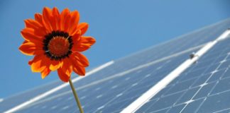 Fotovoltaico e agricoltura