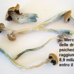 Mercato Usa delle droghe psichedeliche raggiungerà 8,9 miliardi Usd entro il 2029