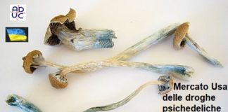 Mercato Usa delle droghe psichedeliche raggiungerà 8,9 miliardi Usd entro il 2029