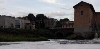 Misteriosa schiuma ricompare nel Bacchiglione, Cristina Guarda (EV): “Davvero dobbiamo considerare normale tutto questo?” Schiuma nel Bacchiglione a Vicenza. Cristina Guarda (EV): la Regione ammette presenza di inquinanti
