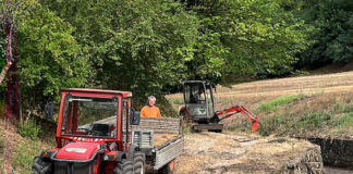 Zermeghedo: via gli arbusti dalla valletta di via Piave, più sicurezza per la zona centrale del paese Zermeghedo