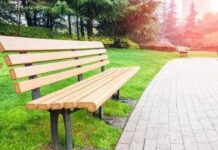 Ancora pochi alberi in città, i numeri di Legambiente