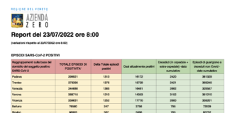 Covid Veneto 23/7: 7.301 casi, VI 1.252 PD 1.313 TV 1.375 VE 1.365 VR 1.210 BL 247 RO 387. Morti 9 (-4), in intensiva 26 (-4), in medica 783 (+27) Dati casi Covid per provincia in Veneto al 23 luglio ore 8