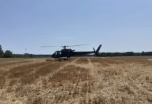 In Veneto dichiarato lo stato di grave pericolosità per gli incendi boschivi bibione nuove fiamme incendi veneto