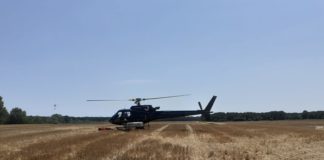 In Veneto dichiarato lo stato di grave pericolosità per gli incendi boschivi bibione nuove fiamme incendi veneto