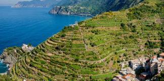 Vini bianchi freschi per l’estate calda, “Wine Specialists Journal”: dalla Liguria alla Valle d’Aosta Estate calda tra i vitigni della Liguria, credits wineloversitaly