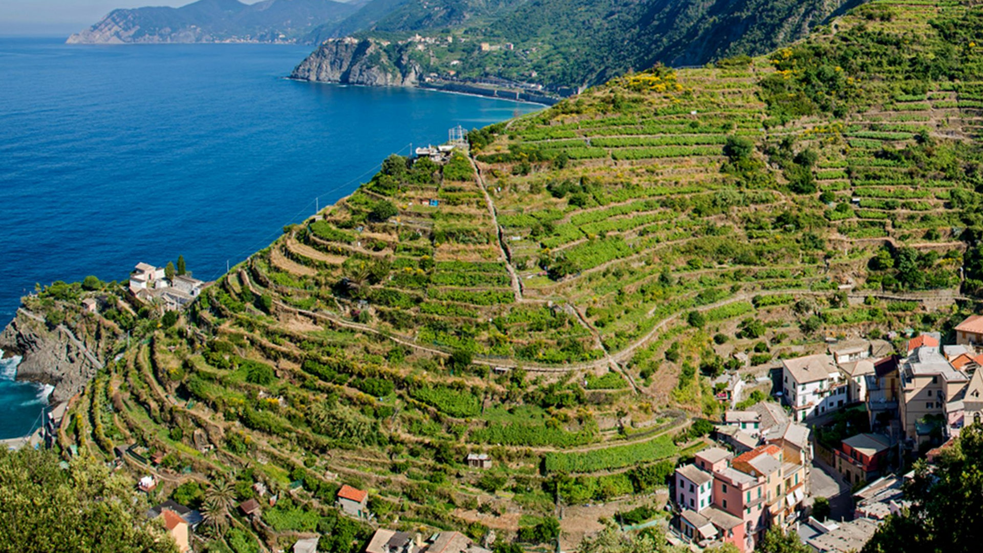 Estate calda tra i vitigni della Liguria, credits wineloversitaly