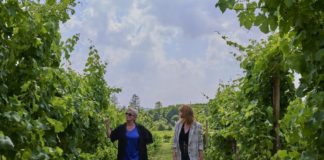 High Spirits, il 7 luglio evento speciale a Bassano per l’anteprima nazionale della serie tedesca ambientata in Veneto high spirits