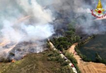 Incendio Pineta di Bibione, il sindaco Maurutto ai turisti: “Potete venire tranquillamente. Spiaggia e strutture non interessate dai danni” incendio bibione