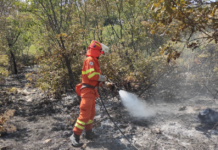 Incendio sul Carso, Dreosto ringrazia volontari e cacciatori e ricorda la volontaria che ha perso la vita durante lo spegnimento incendio carso