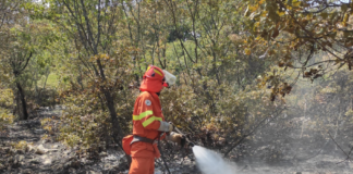 Incendio sul Carso, Dreosto ringrazia volontari e cacciatori e ricorda la volontaria che ha perso la vita durante lo spegnimento incendio carso