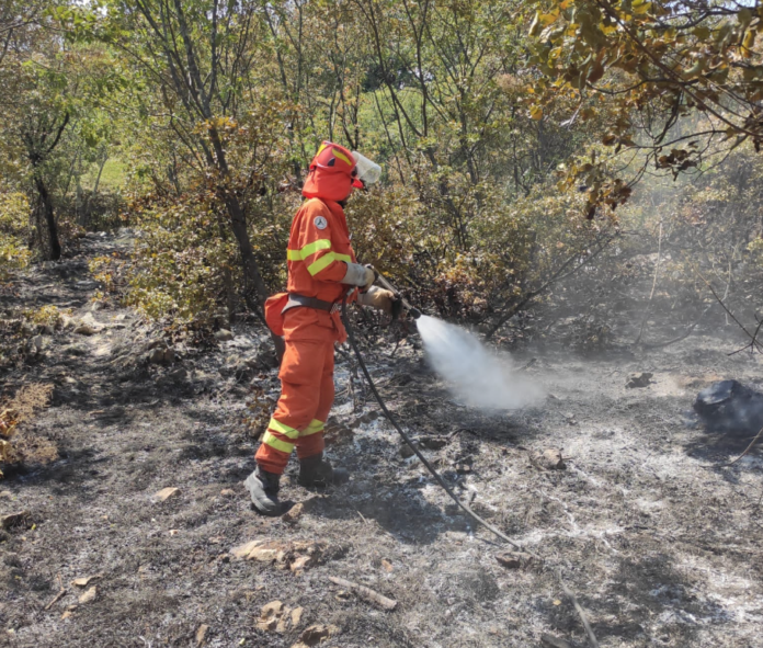 incendio carso